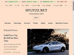 Website image splitzz.net