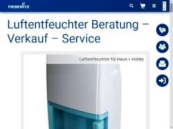 Website image www.fieberitz.de